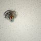 Fire Suppression Sprinkler System